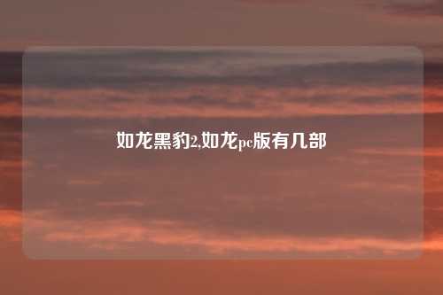 如龙黑豹2,如龙pc版有几部