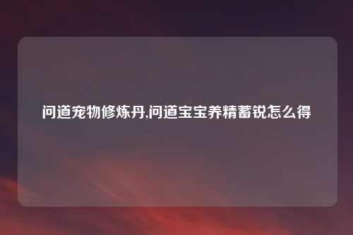 问道宠物修炼丹,问道宝宝养精蓄锐怎么得