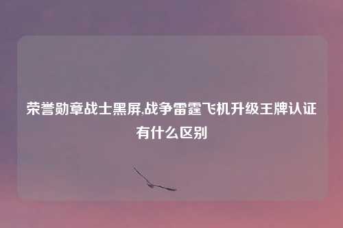 荣誉勋章战士黑屏,战争雷霆飞机升级王牌认证有什么区别