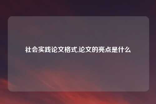 社会实践论文格式,论文的亮点是什么