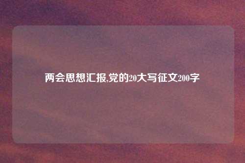 两会思想汇报,党的20大写征文200字
