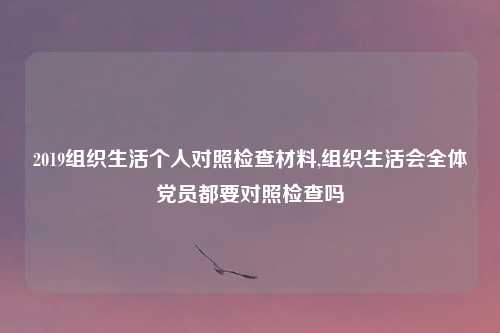 2019组织生活个人对照检查材料,组织生活会全体党员都要对照检查吗