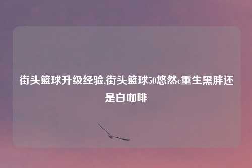 街头篮球升级经验,街头篮球50悠然c重生黑胖还是白咖啡