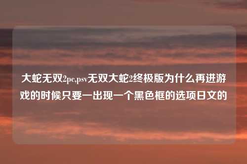 大蛇无双2pc,psv无双大蛇2终极版为什么再进游戏的时候只要一出现一个黑色框的选项日文的