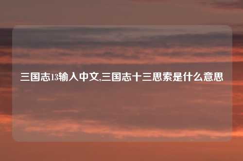 三国志13输入中文,三国志十三思索是什么意思