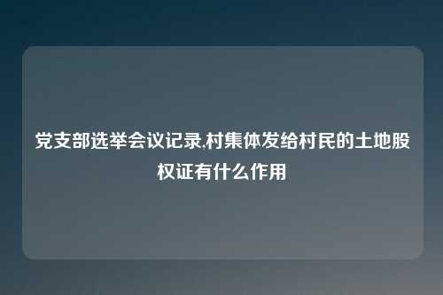 党支部选举会议记录,村集体发给村民的土地股权证有什么作用