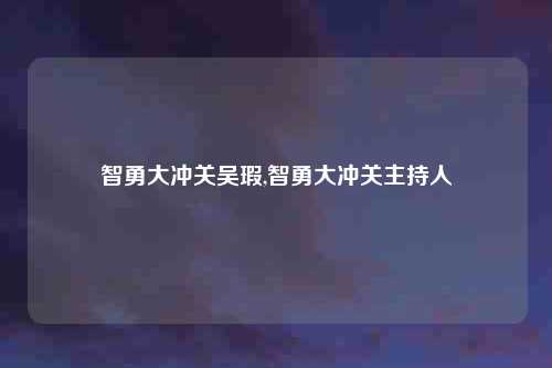 智勇大冲关吴瑕,智勇大冲关主持人