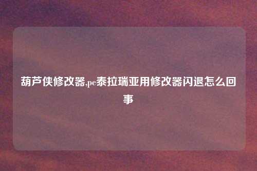 葫芦侠修改器,pe泰拉瑞亚用修改器闪退怎么回事