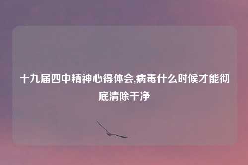 十九届四中精神心得体会,病毒什么时候才能彻底清除干净