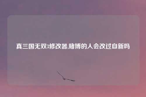 真三国无双3修改器,赌博的人会改过自新吗