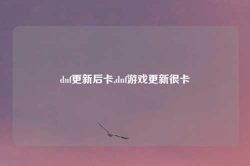 dnf更新后卡,dnf游戏更新很卡