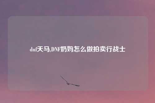 dnf天马,DNF奶妈怎么做拍卖行战士