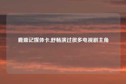 鹿鼎记媒体卡,舒畅演过很多电视剧主角