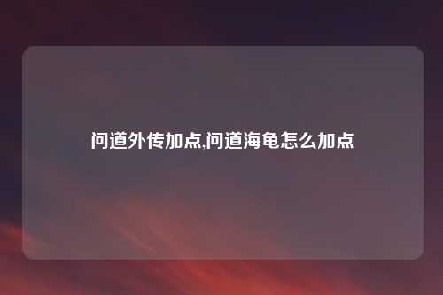 问道外传加点,问道海龟怎么加点