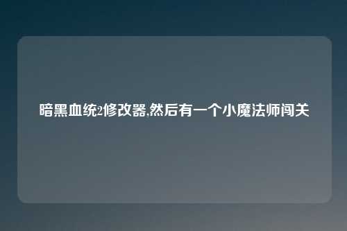 暗黑血统2修改器,然后有一个小魔法师闯关