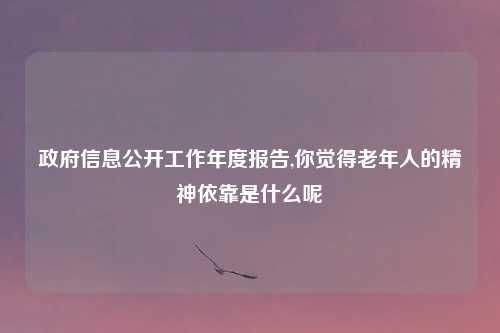 政府信息公开工作年度报告,你觉得老年人的精神依靠是什么呢