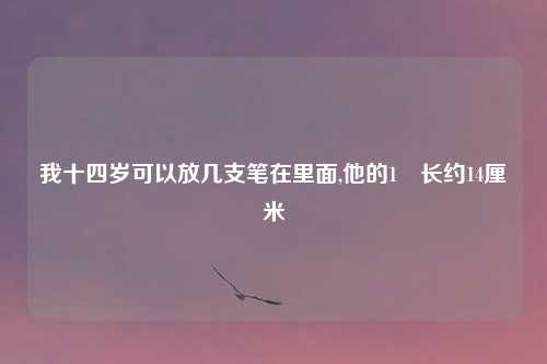 我十四岁可以放几支笔在里面,他的1拃长约14厘米