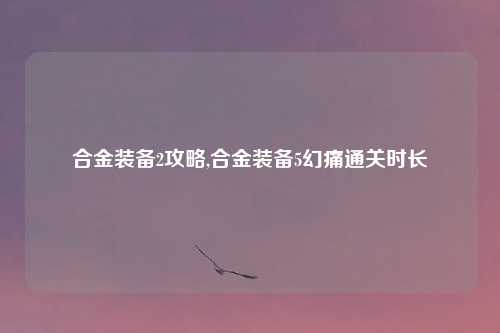合金装备2攻略,合金装备5幻痛通关时长