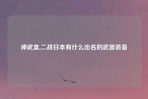 神武盒,二战日本有什么出名的武器装备