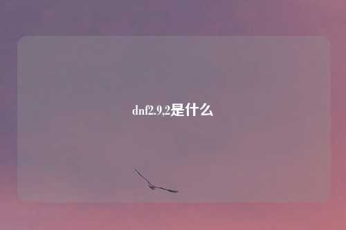 dnf2.9,2是什么