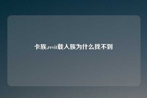 卡族,revit载入族为什么找不到