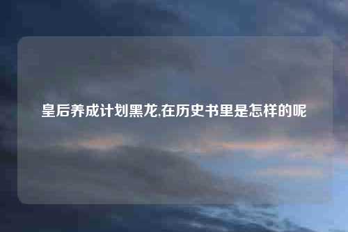 皇后养成计划黑龙,在历史书里是怎样的呢