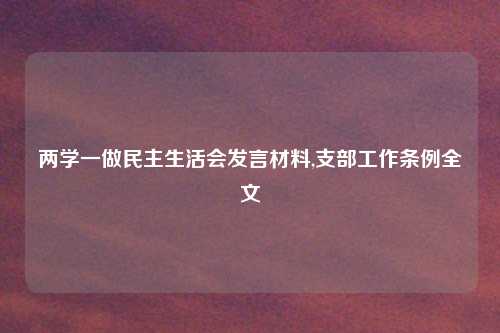 两学一做民主生活会发言材料,支部工作条例全文