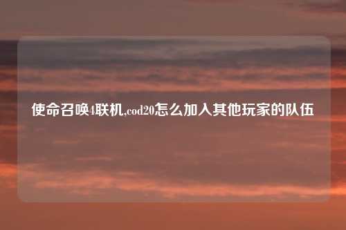 使命召唤4联机,cod20怎么加入其他玩家的队伍