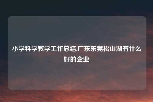 小学科学教学工作总结,广东东莞松山湖有什么好的企业