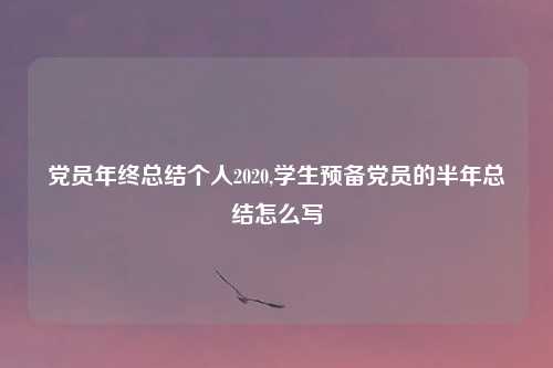 党员年终总结个人2020,学生预备党员的半年总结怎么写