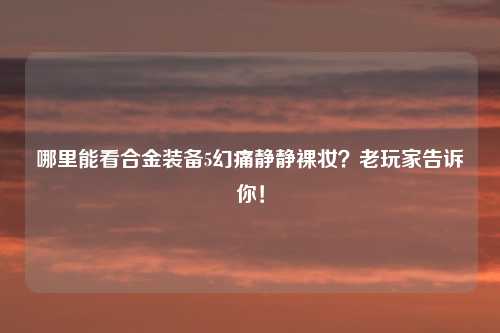 哪里能看合金装备5幻痛静静裸妆？老玩家告诉你！