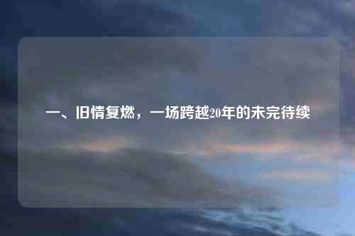 一、旧情复燃，一场跨越20年的未完待续