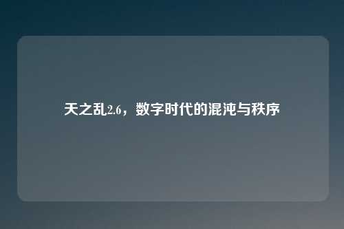 天之乱2.6，数字时代的混沌与秩序