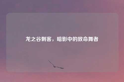 龙之谷刺客，暗影中的致命舞者