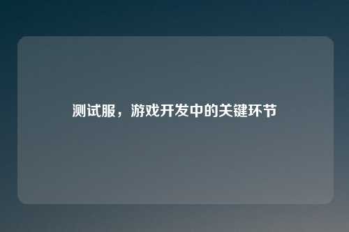 测试服，游戏开发中的关键环节