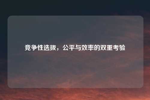 竞争性选拔，公平与效率的双重考验