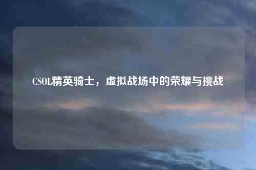CSOL精英骑士，虚拟战场中的荣耀与挑战