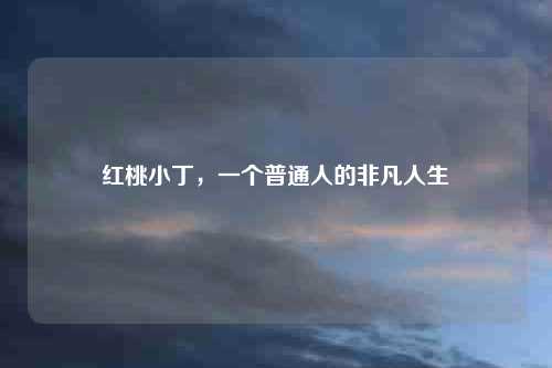 红桃小丁，一个普通人的非凡人生