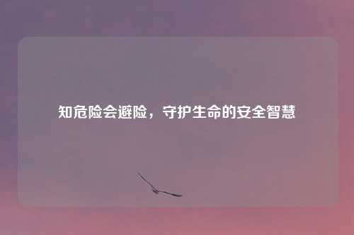 知危险会避险，守护生命的安全智慧