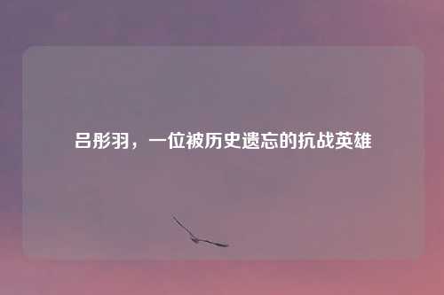 吕彤羽，一位被历史遗忘的抗战英雄