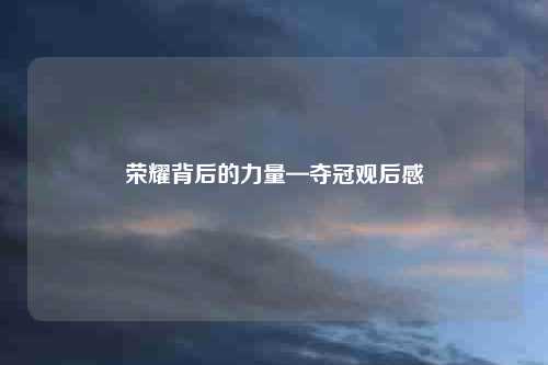 荣耀背后的力量—夺冠观后感