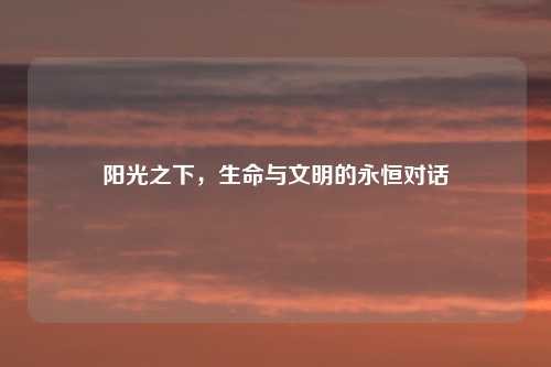 阳光之下，生命与文明的永恒对话