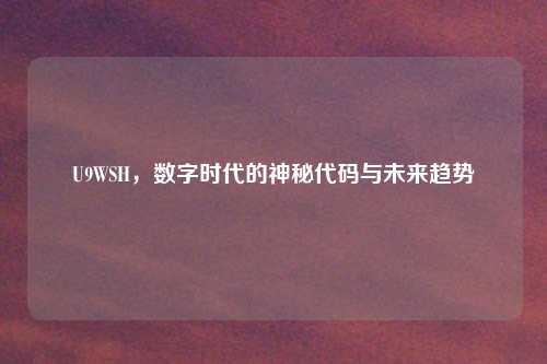 U9WSH，数字时代的神秘代码与未来趋势