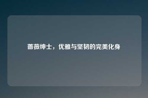 蔷薇绅士，优雅与坚韧的完美化身