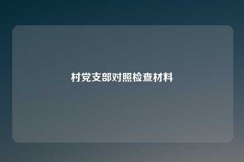 村党支部对照检查材料