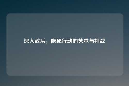 深入敌后，隐秘行动的艺术与挑战