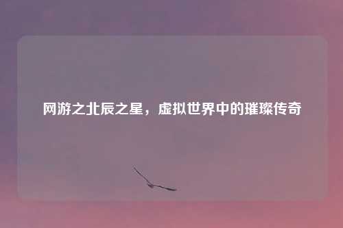 网游之北辰之星，虚拟世界中的璀璨传奇