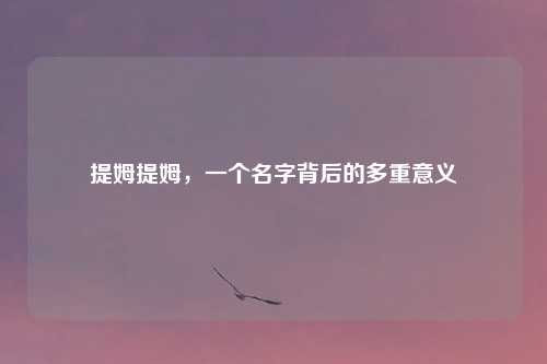 提姆提姆，一个名字背后的多重意义