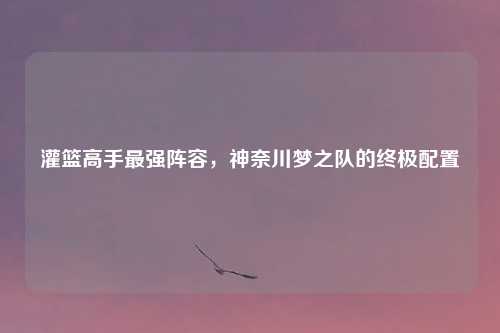 灌篮高手最强阵容，神奈川梦之队的终极配置