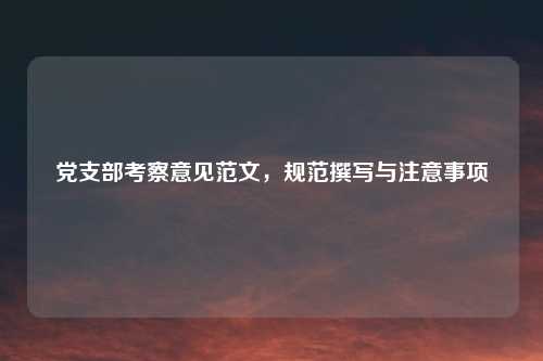 党支部考察意见范文，规范撰写与注意事项